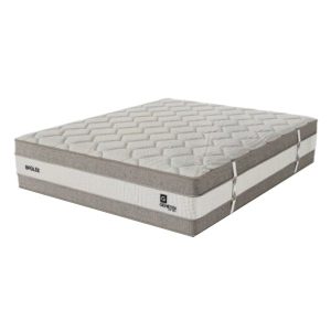 Genessi Brulee Mattress